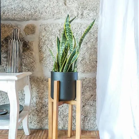 Appartement Do Cervo *