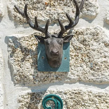 Do Cervo Appartement *