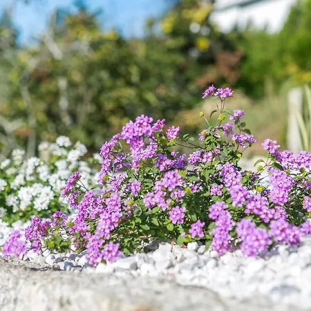Appartement Do Cervo