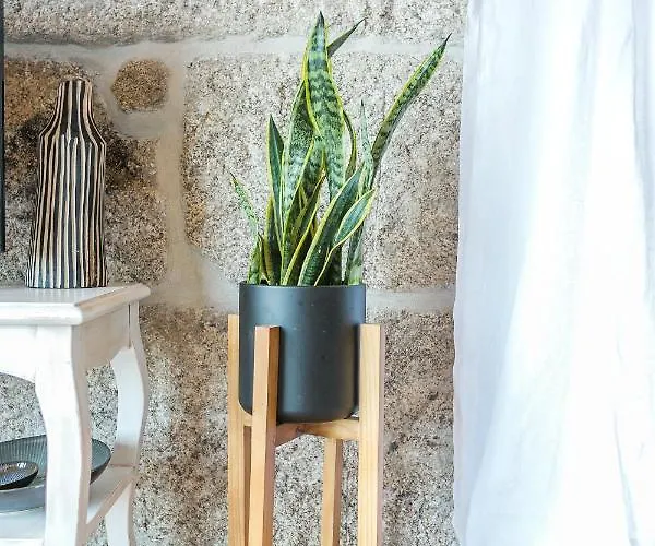 Appartement Do Cervo *