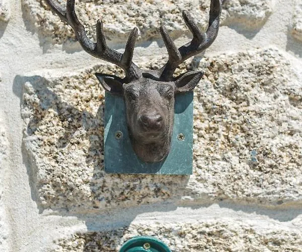 Do Cervo Appartement *