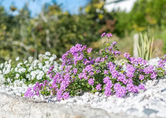 Appartement Do Cervo